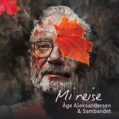 Mi reise album art