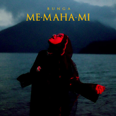 ME[MAHA]MI album art