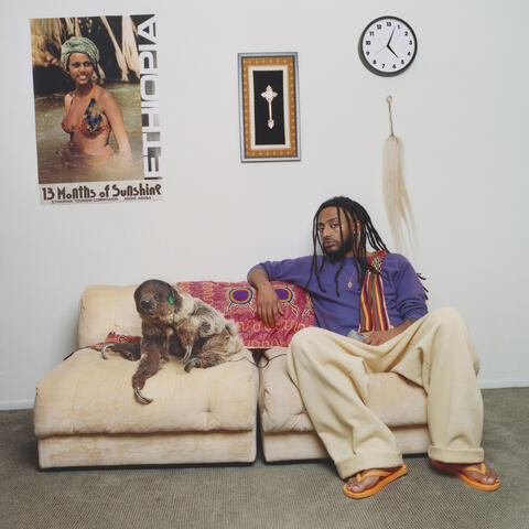 13 Months of Sunshine album art