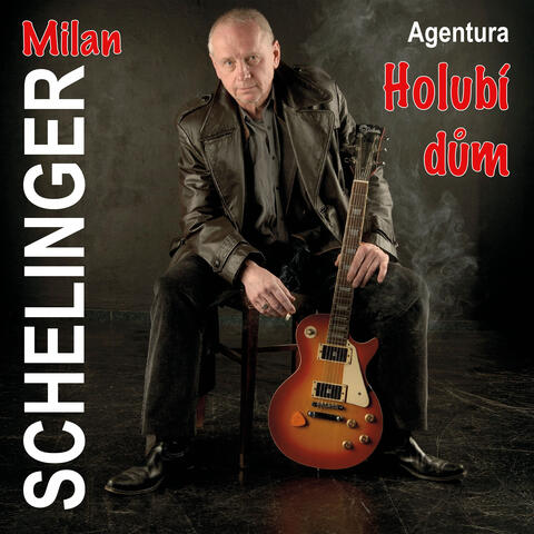 Agentura Holubí dům album art