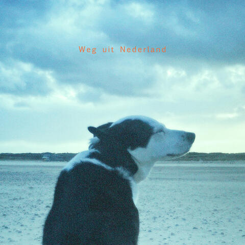 Weg uit Nederland album art