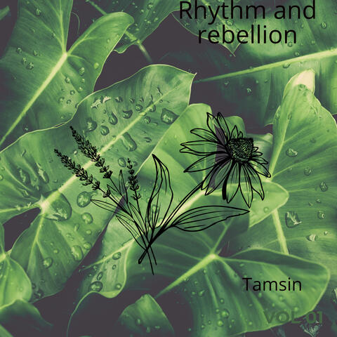 Rhythm and rebellion album art