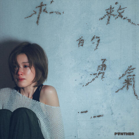 Through The Night album art