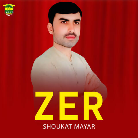 Zer album art