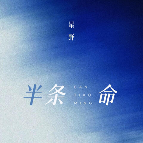 半條命 album art