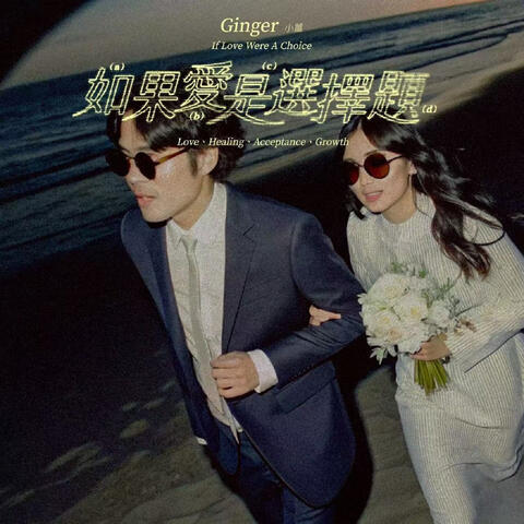如果愛是選擇題 album art
