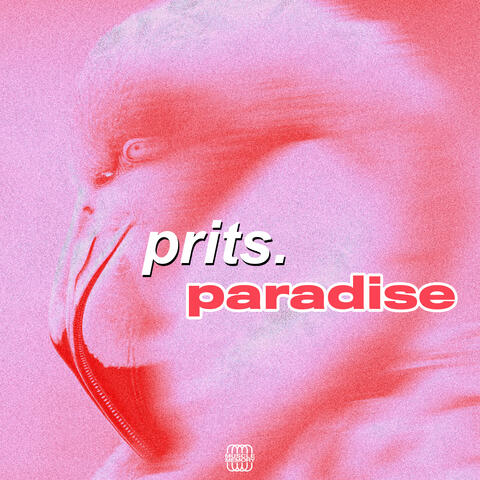 Paradise album art