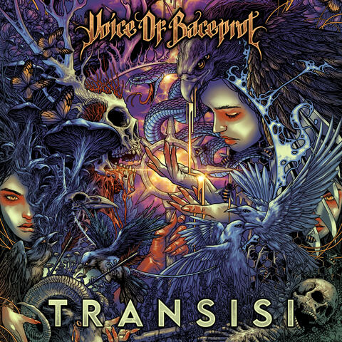 TRANSISI album art
