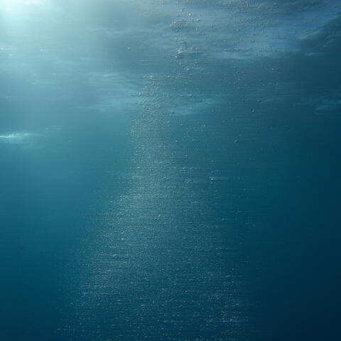 Pure Shores album art