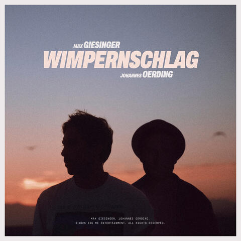 Wimpernschlag album art