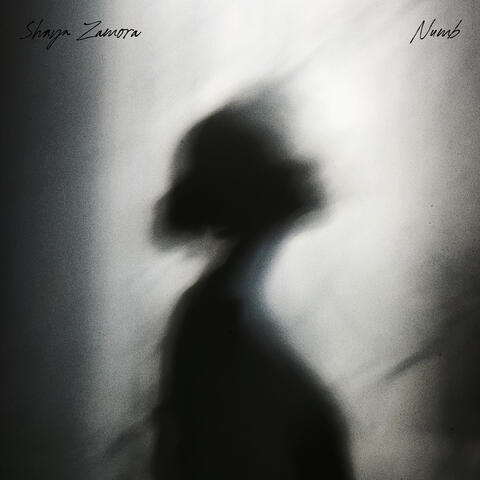 Numb album art