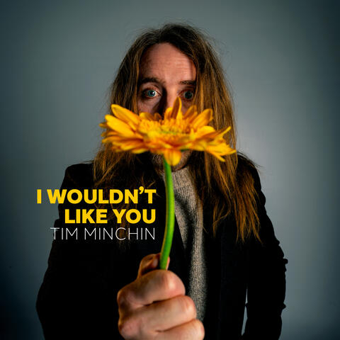 I Wouldn't Like You album art
