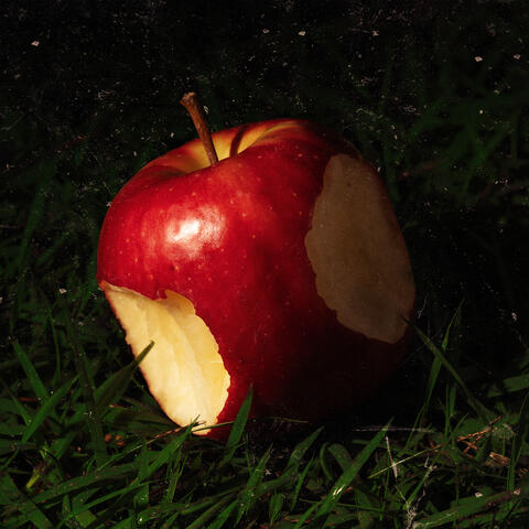 Paraíso album art
