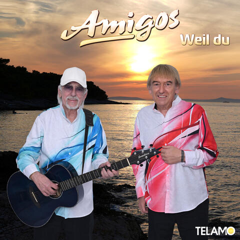 Weil du album art