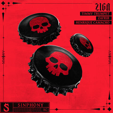 Ziga album art