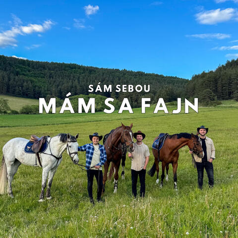 Mám sa fajn album art