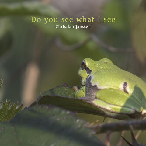 Do you see what I see album art