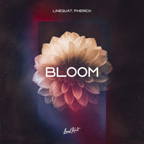 Bloom album art