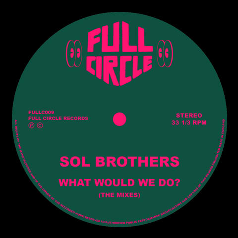 What Would We Do? album art