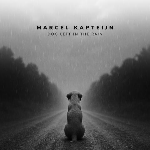 Dog Left In The Rain album art