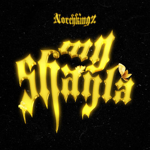 My Shayla album art