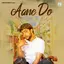 Aane Do album artwork