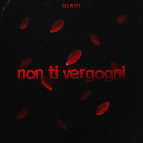 non ti vergogni album art