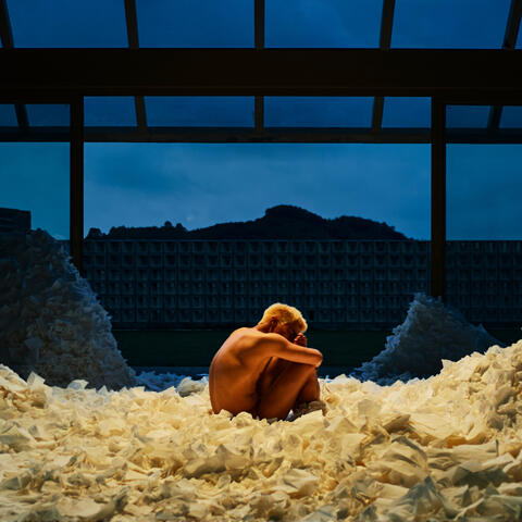no full frontal album art