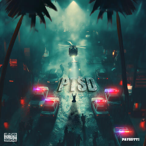 PTSD album art