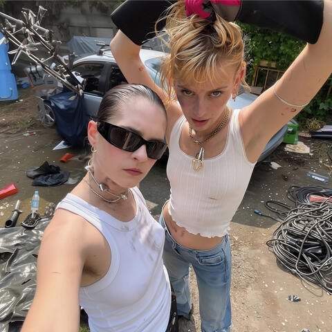 Schrott album art