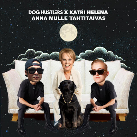 Anna mulle tähtitaivas (feat. Katri Helena) album art