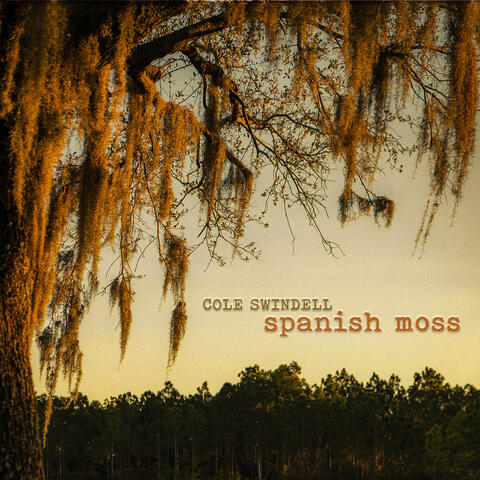 Spanish Moss album art
