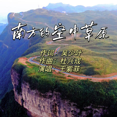 南方的空中草原 album art