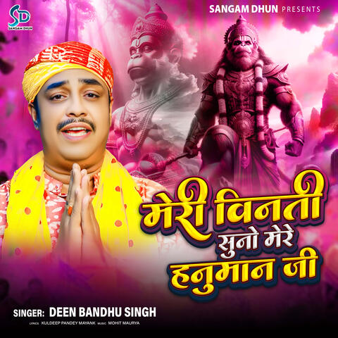 Meri Vinti Suno Mere Hanuman Ji album art