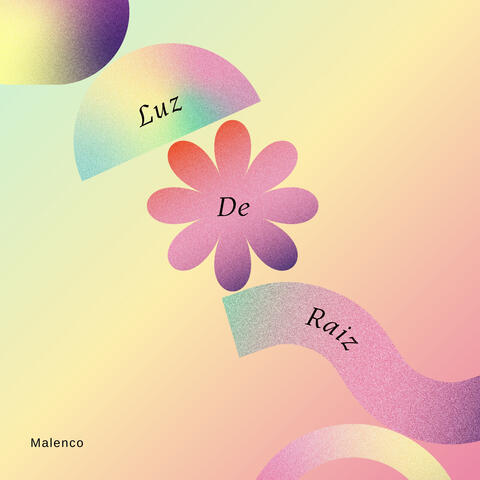 Luz de raíz album art