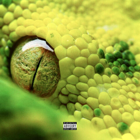 VIPER album art