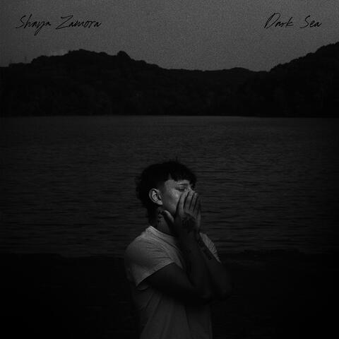 Dark Sea album art