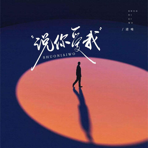 說你愛我 album art