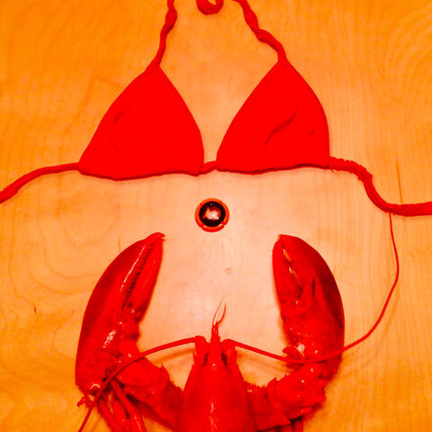 LIVE AT THE VINEYARD album art