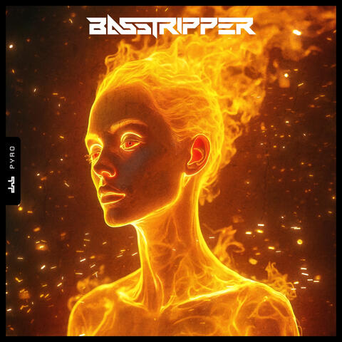 Pyro album art