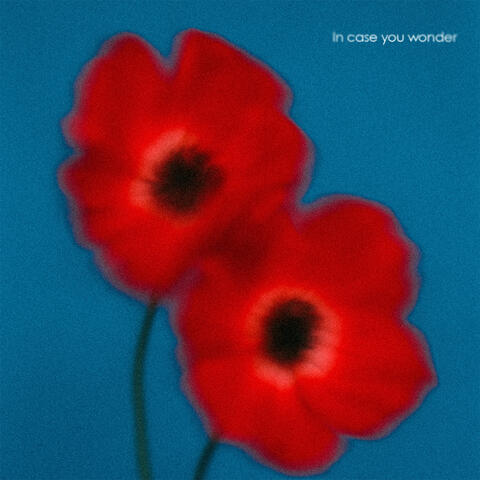 In Case You Wonder album art