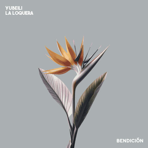 Bendición album art