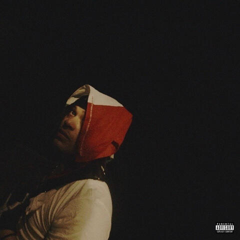 BABYRINO album art
