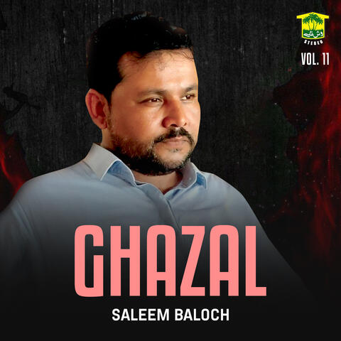 Ghazal, Vol. 11 album art