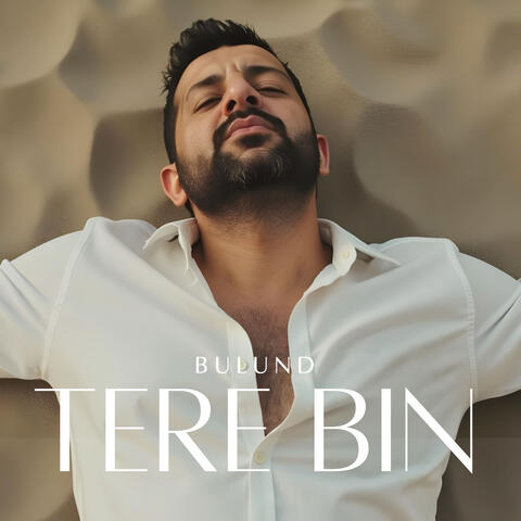 Tere Bin album art