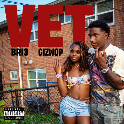 VET (feat. Gizwop) album art