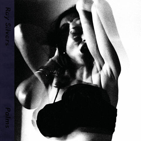 Palms album art