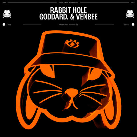 rabbit hole. album art