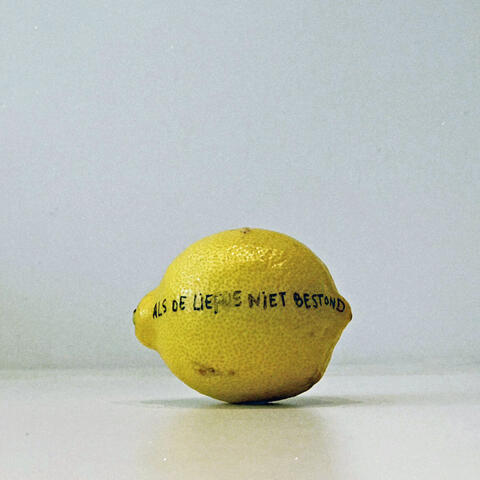 Als de liefde niet bestond album art