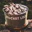 Bucket List album artwork